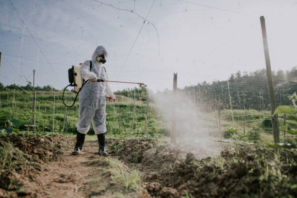 Best Local Pest Control Services  in Orangeburg, NY