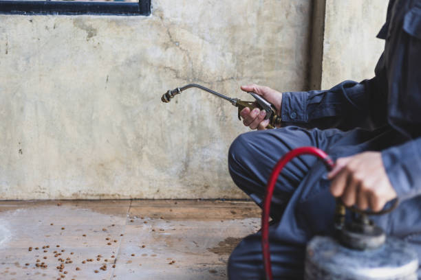 Best Residential Pest Control  in Orangeburg, NY